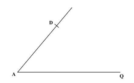 Constructing a trapezium kcse  2024 mathematics paper 1